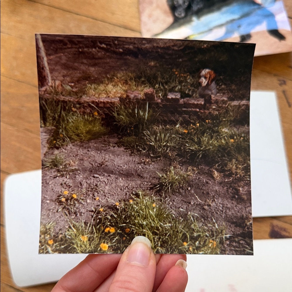 Vintage Photo Collection - Picture 6 of 12